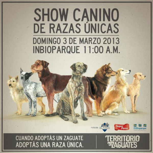 protesta-creativa-adopcion-perros-razas-unicas-01