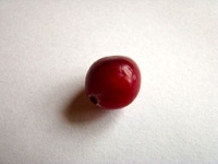 Cranberry_whole