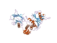 PDB_1lm8_EBI