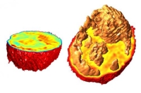 1-newmicroscop