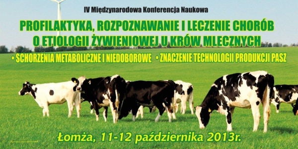 Baner-konferecja-naukowa-2013